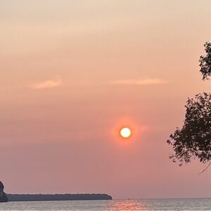 Meet your Posher, Alisa